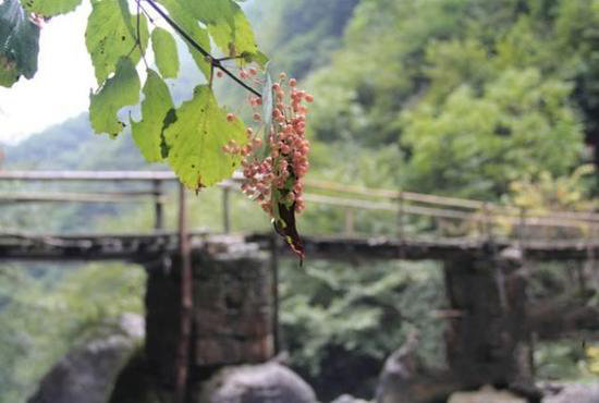 这才是小长假该去自驾旅行的原始天堂