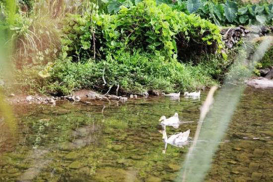 这才是小长假该去自驾旅行的原始天堂