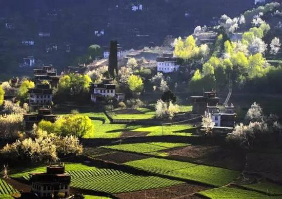 这才是小长假该去自驾旅行的原始天堂