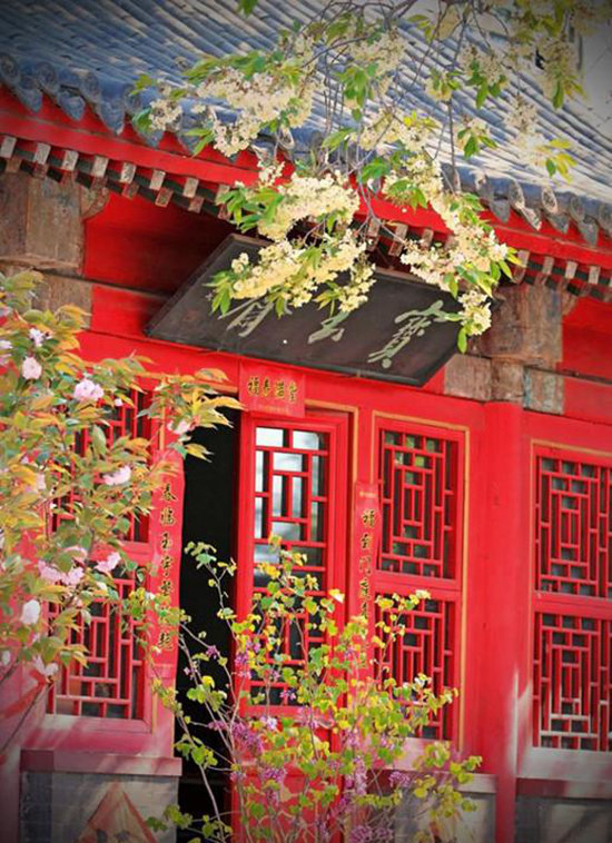 清明节自驾去哪玩？景点门票优惠大搜罗