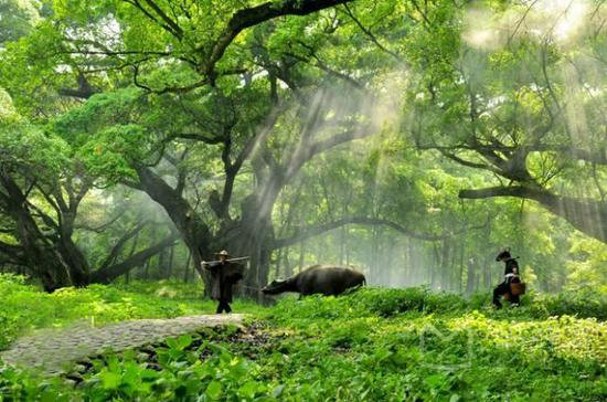 这才是小长假该去自驾旅行的原始天堂