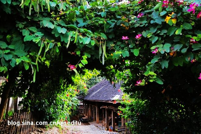 云南茶路 一条幸福爆棚的美食人文之旅
