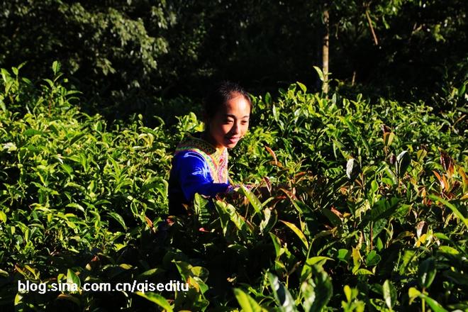 云南茶路 一条幸福爆棚的美食人文之旅