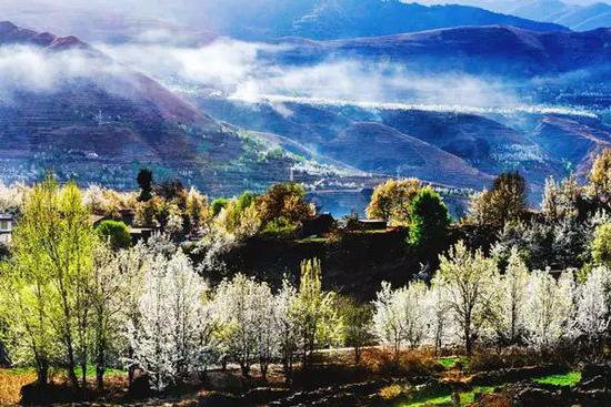 4月国内外最美春天 就应该自驾去这些地方