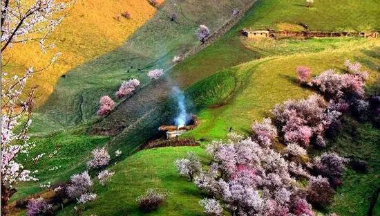 4月国内外最美春天 就应该自驾去这些地方