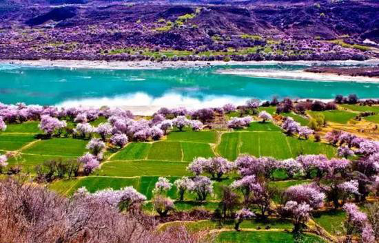 4月国内外最美春天 就应该自驾去这些地方
