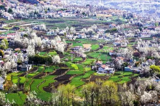 4月国内外最美春天 就应该自驾去这些地方