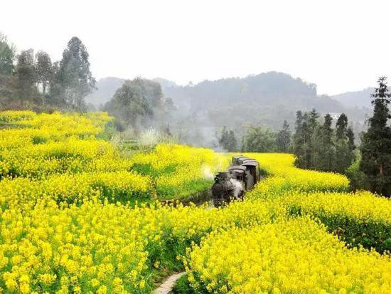 4月国内外最美春天 就应该自驾去这些地方