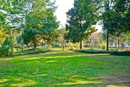 4月国内外最美春天 就应该自驾去这些地方