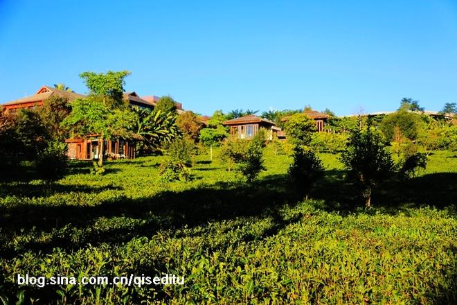 云南茶路 一条幸福爆棚的美食人文之旅