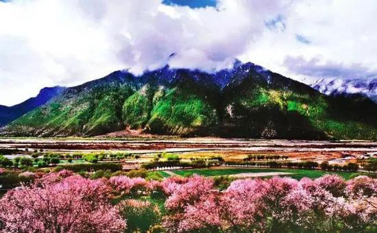 4月国内外最美春天 就应该自驾去这些地方