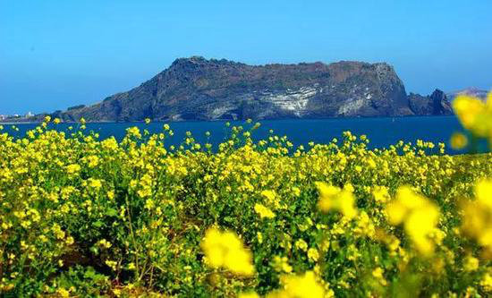 4月国内外最美春天 就应该自驾去这些地方