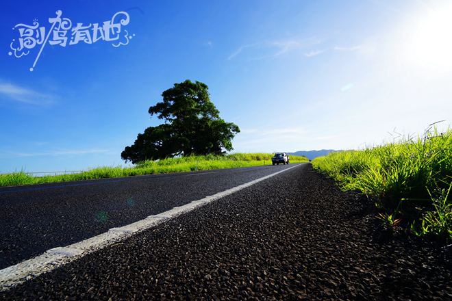 被警察追车处罚！短发妹子澳洲自驾游