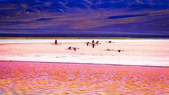 屌丝翻身高富帅 全球9大穷游自驾目的地