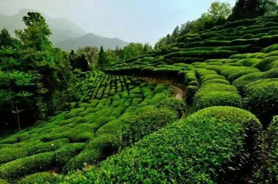 陕西周边这些小众古镇你还都没自驾过呢！