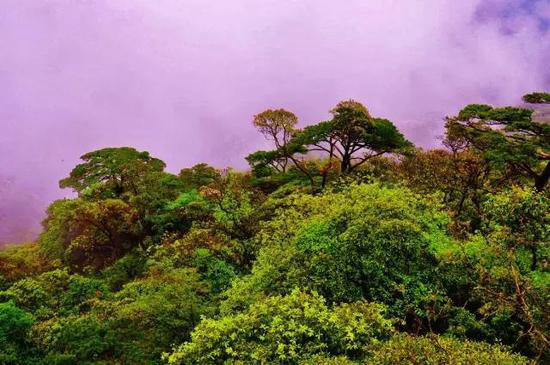 你自驾去过几座？中国最美十大名山