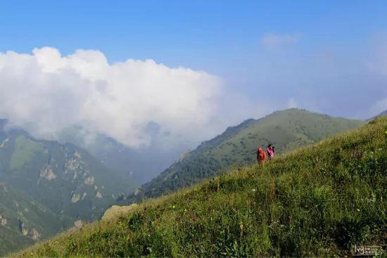 你自驾去过几座？中国最美十大名山