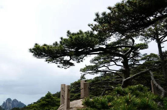 你自驾去过几座？中国最美十大名山