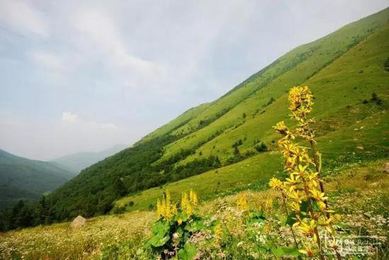 你自驾去过几座？中国最美十大名山