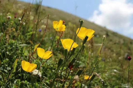 你自驾去过几座？中国最美十大名山