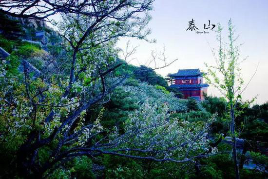 你自驾去过几座？中国最美十大名山