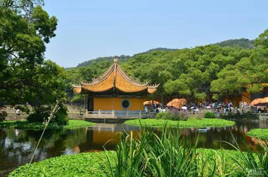 你自驾去过几座？中国最美十大名山