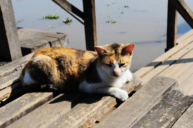 Going抽6块钱50根的手工雪茄 吃油条泡奶茶