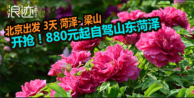 追随彭麻麻 开车去菏泽看牡丹