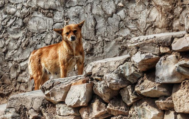 遗世独立的悬崖村庄 35位北京老人的坚守
