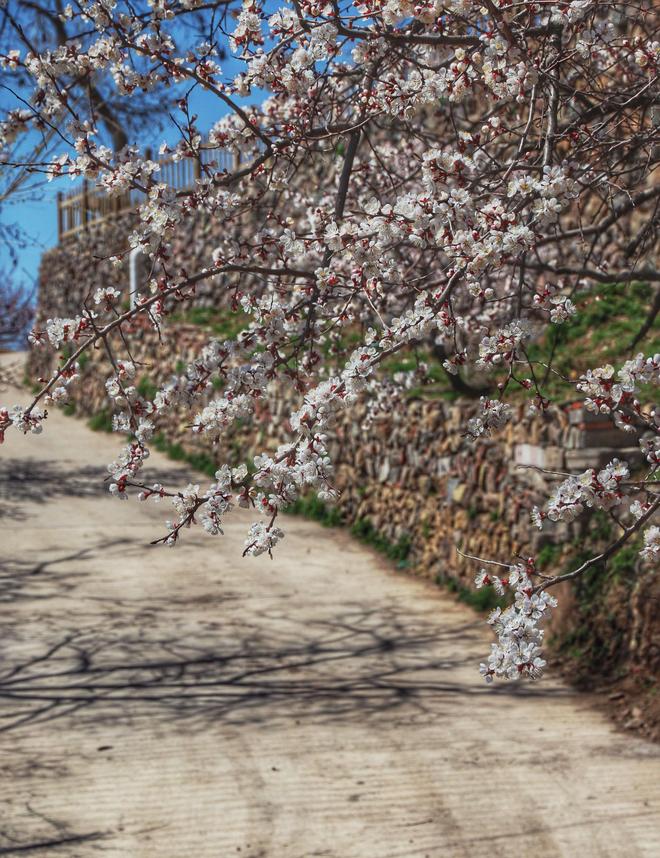 遗世独立的悬崖村庄 35位北京老人的坚守