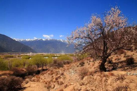 不去后悔！4月国内最佳自驾旅行地TOP5