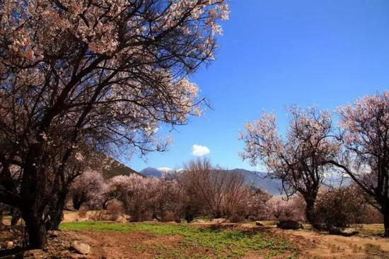 不去后悔！4月国内最佳自驾旅行地TOP5