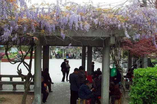 不去后悔！4月国内最佳自驾旅行地TOP5