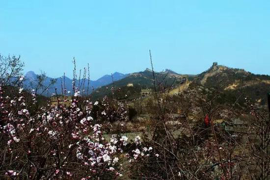 不去后悔！4月国内最佳自驾旅行地TOP5