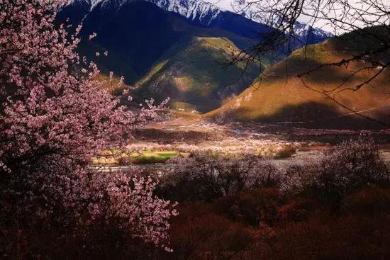 不去后悔！4月国内最佳自驾旅行地TOP5