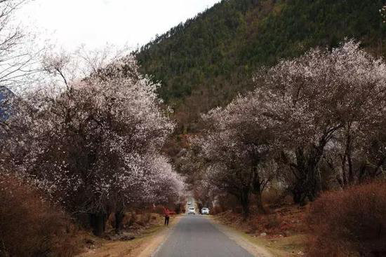 不去后悔！4月国内最佳自驾旅行地TOP5