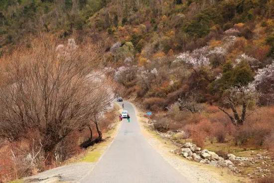 不去后悔！4月国内最佳自驾旅行地TOP5