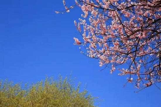 不去后悔！4月国内最佳自驾旅行地TOP5