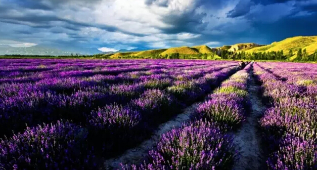 根本不用去瑞士，中国美不胜收的风景在这