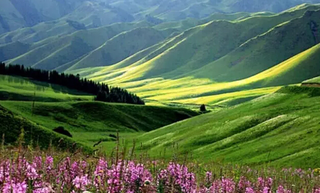 根本不用去瑞士，中国美不胜收的风景在这