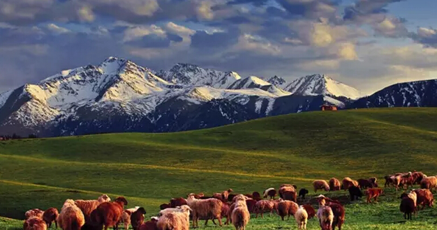 根本不用去瑞士，中国美不胜收的风景在这