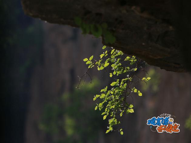 【人间奇迹】远比郭亮村漂亮的挂壁公路