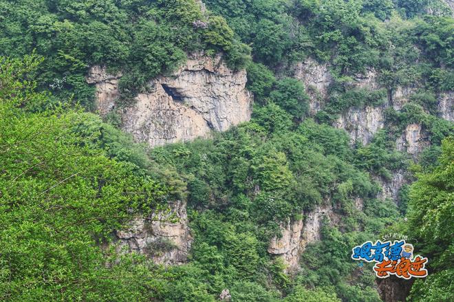 自驾王莽岭（上） 这只是一场浪迹的开始…