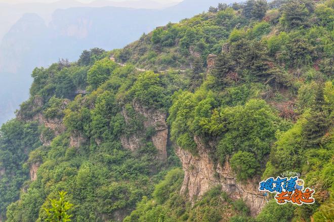 自驾王莽岭（上） 这只是一场浪迹的开始…