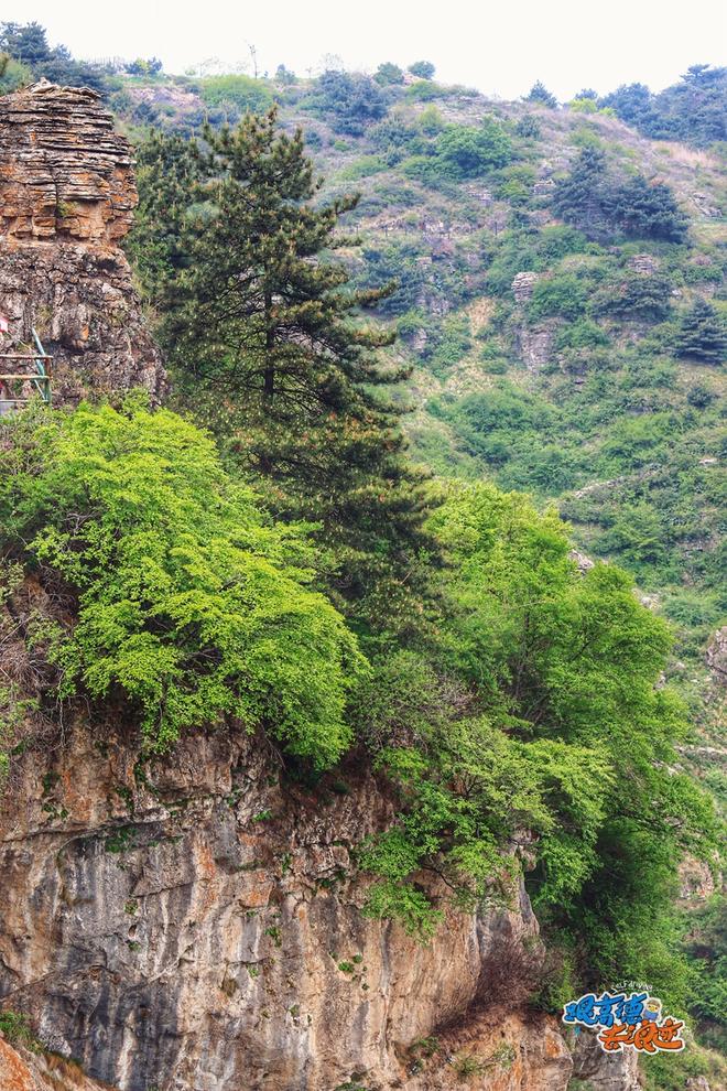 自驾王莽岭（上） 这只是一场浪迹的开始…