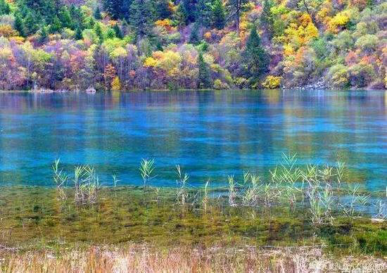 情侣要自驾去浪漫景点见证爱情—国内篇