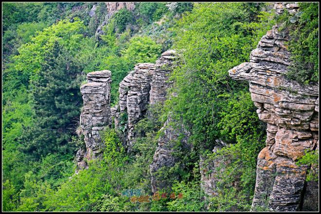 大自然的鬼斧神工 浪迹王莽岭大峡谷