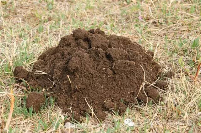 逃离格子间 自驾赤峰看沙漠里的夕阳