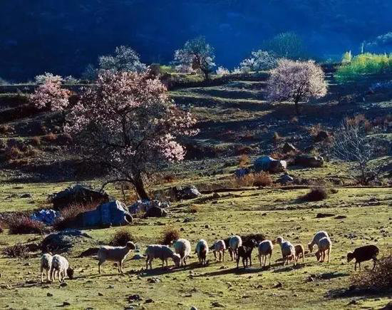 不用飞欧洲 自驾西藏藏着的“小瑞士”
