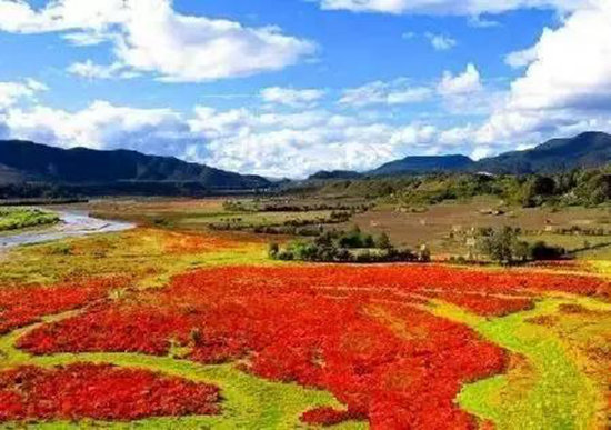 夏季最佳自驾旅行地你选对了吗？（上）